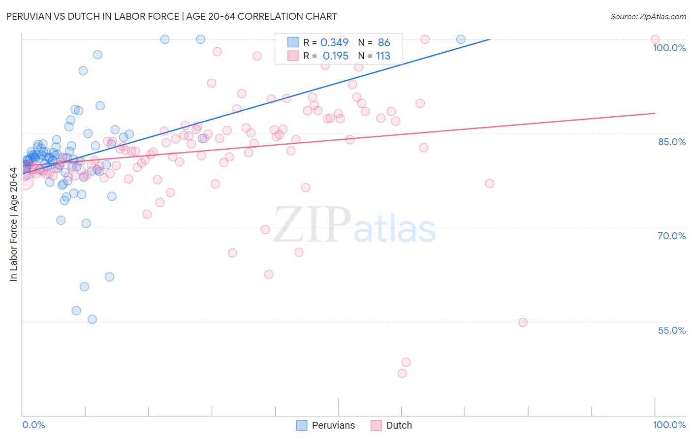 Peruvian vs Dutch In Labor Force | Age 20-64