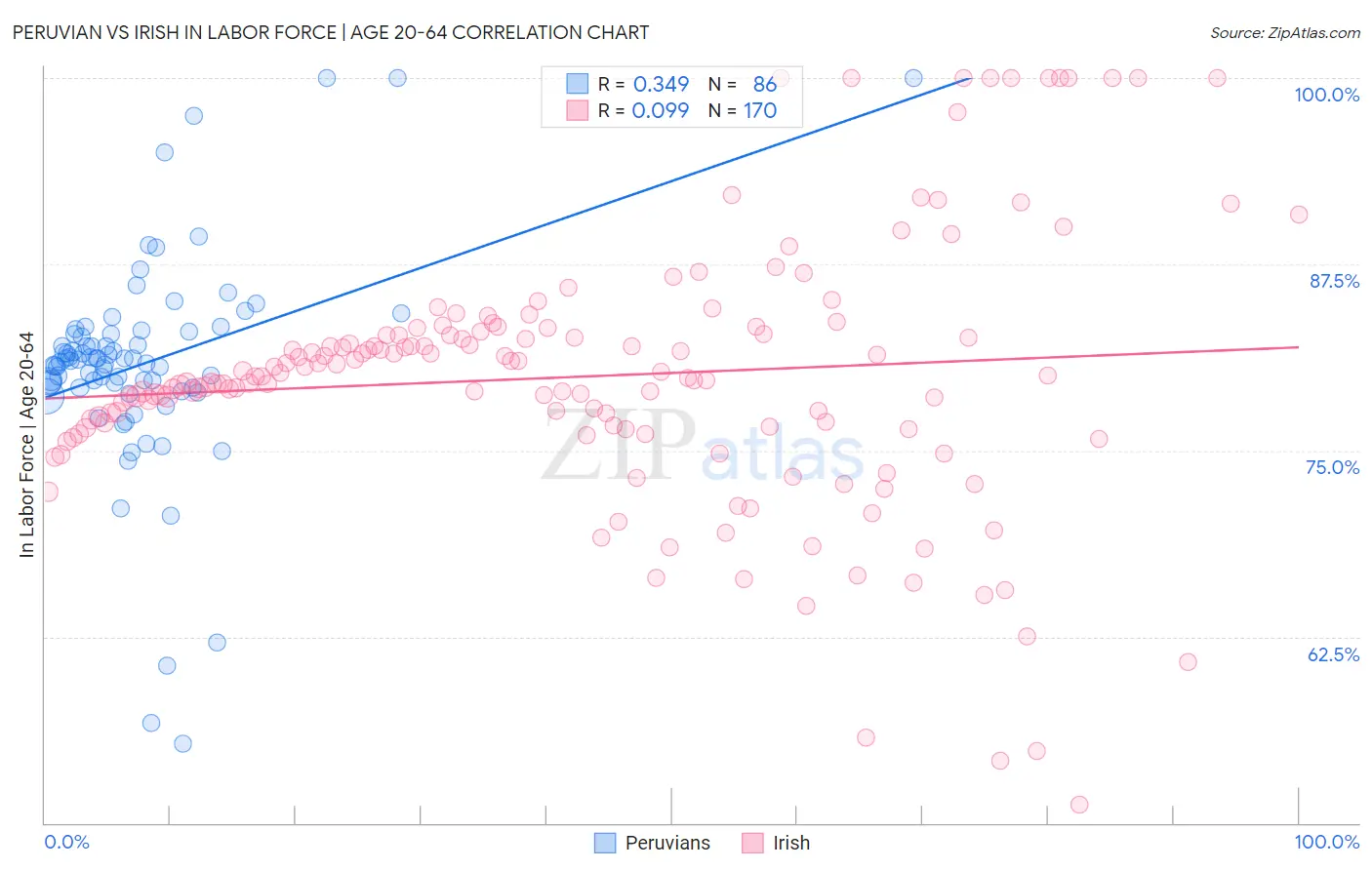 Peruvian vs Irish In Labor Force | Age 20-64