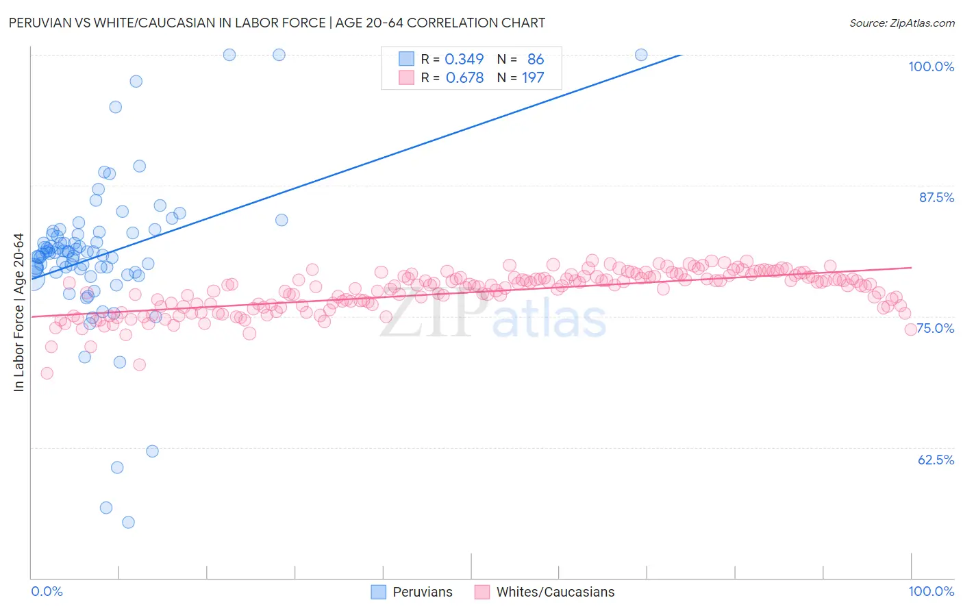 Peruvian vs White/Caucasian In Labor Force | Age 20-64