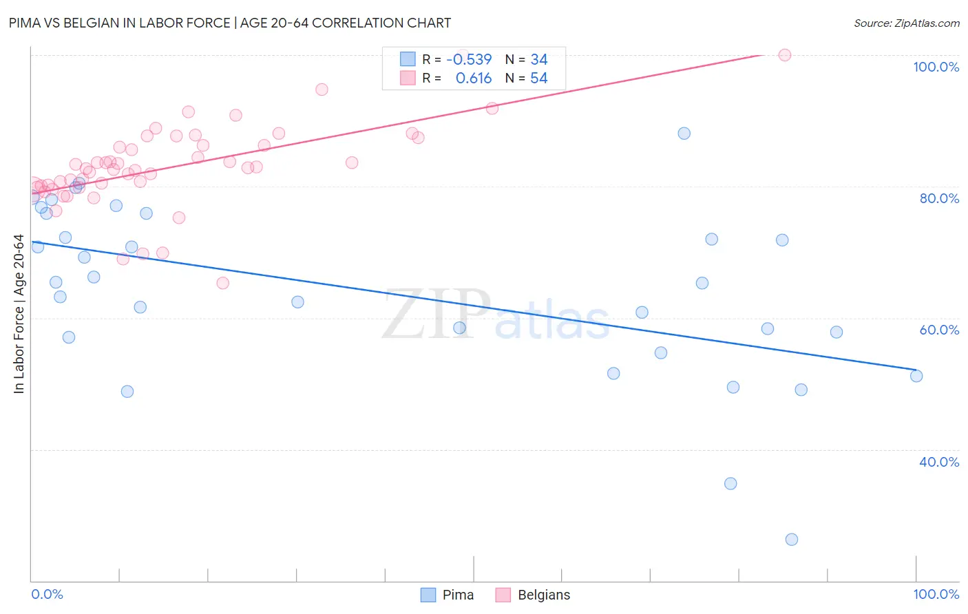 Pima vs Belgian In Labor Force | Age 20-64