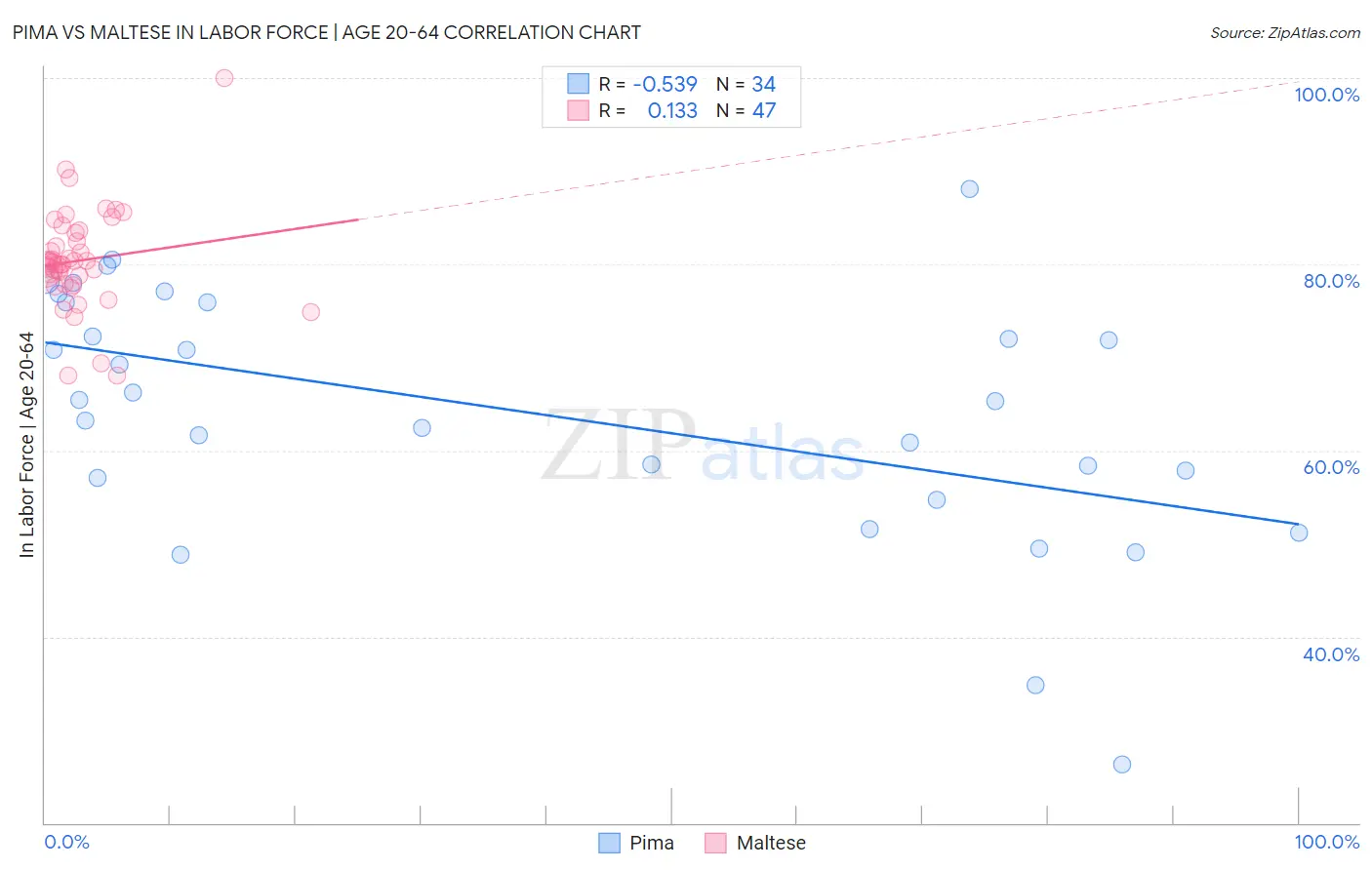 Pima vs Maltese In Labor Force | Age 20-64