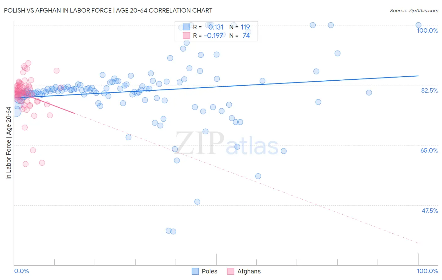 Polish vs Afghan In Labor Force | Age 20-64