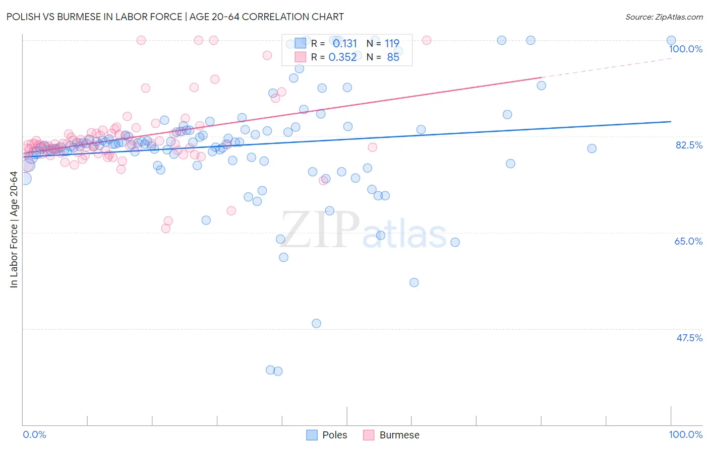 Polish vs Burmese In Labor Force | Age 20-64