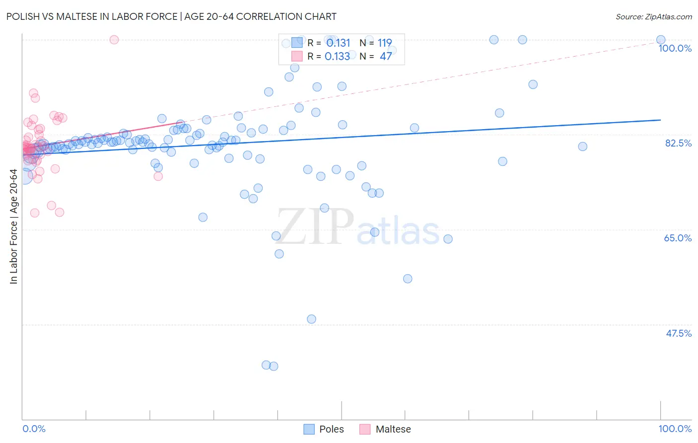 Polish vs Maltese In Labor Force | Age 20-64