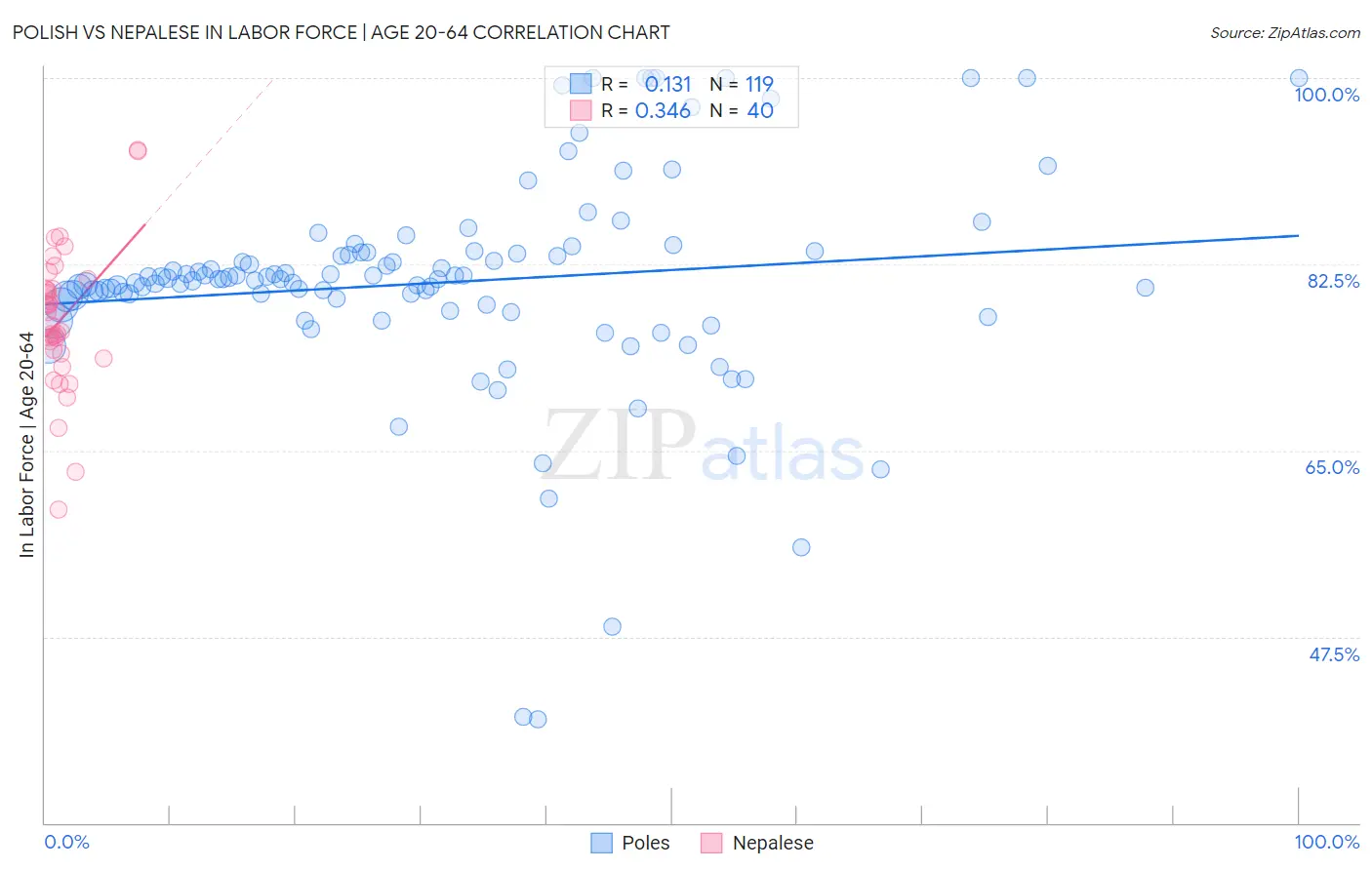 Polish vs Nepalese In Labor Force | Age 20-64