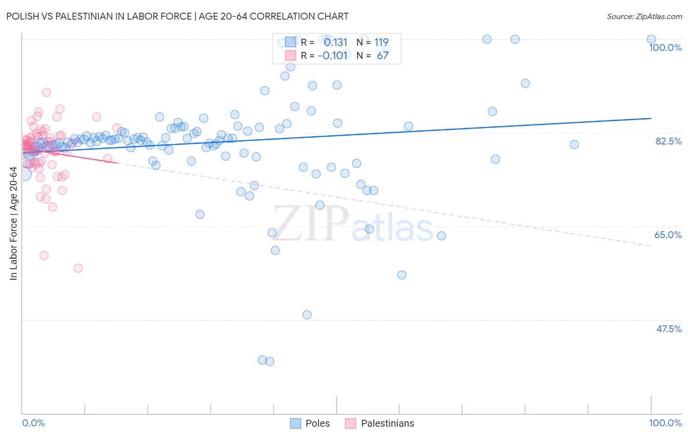 Polish vs Palestinian In Labor Force | Age 20-64