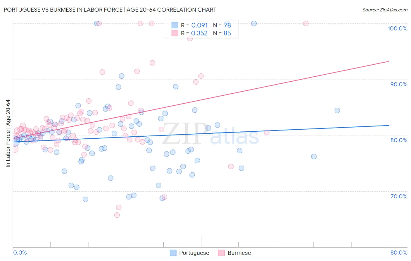 Portuguese vs Burmese In Labor Force | Age 20-64