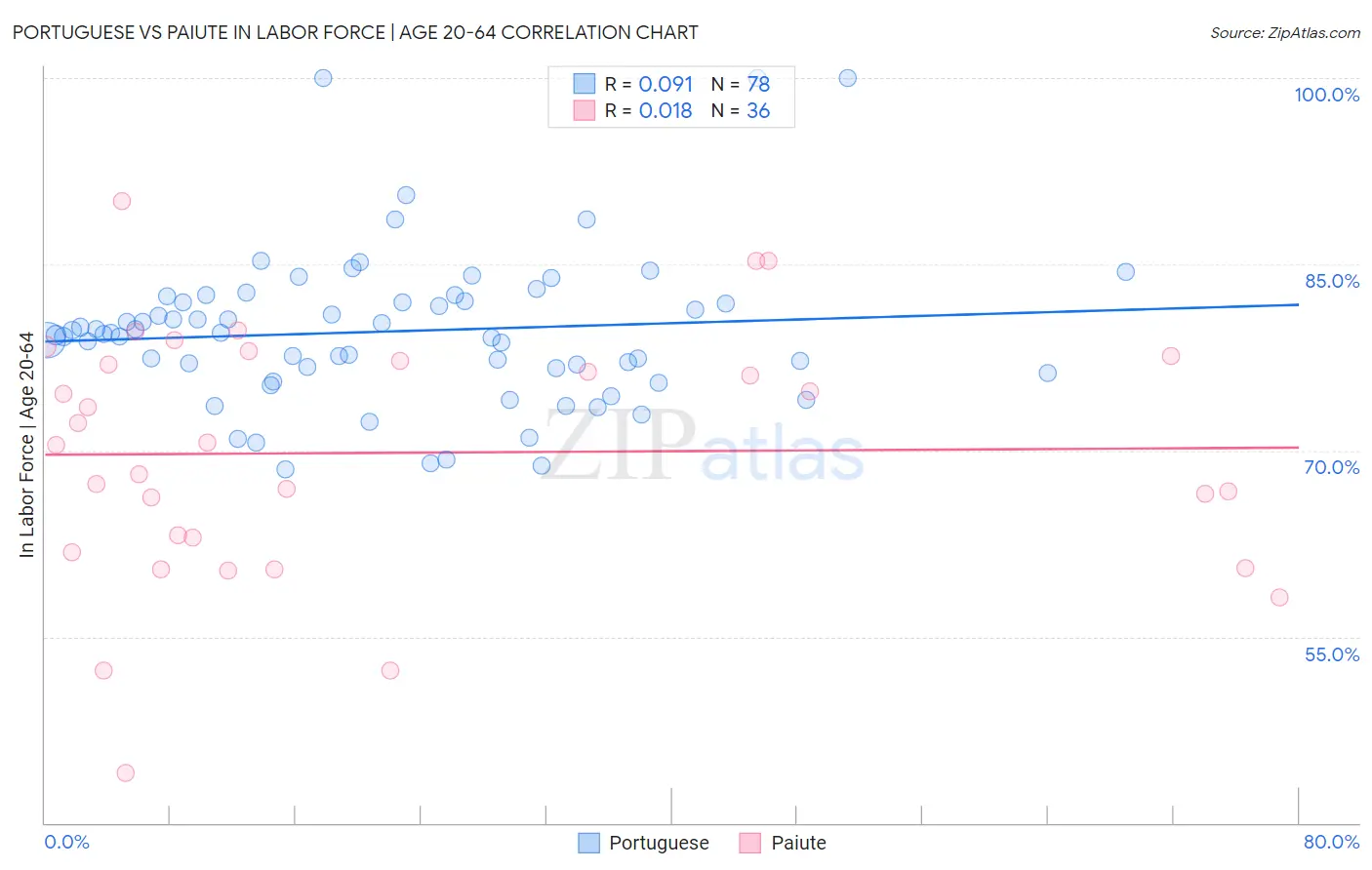 Portuguese vs Paiute In Labor Force | Age 20-64