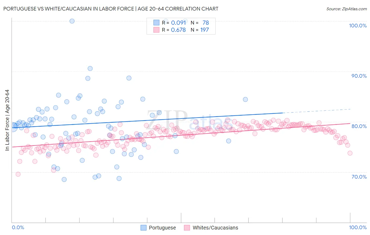 Portuguese vs White/Caucasian In Labor Force | Age 20-64