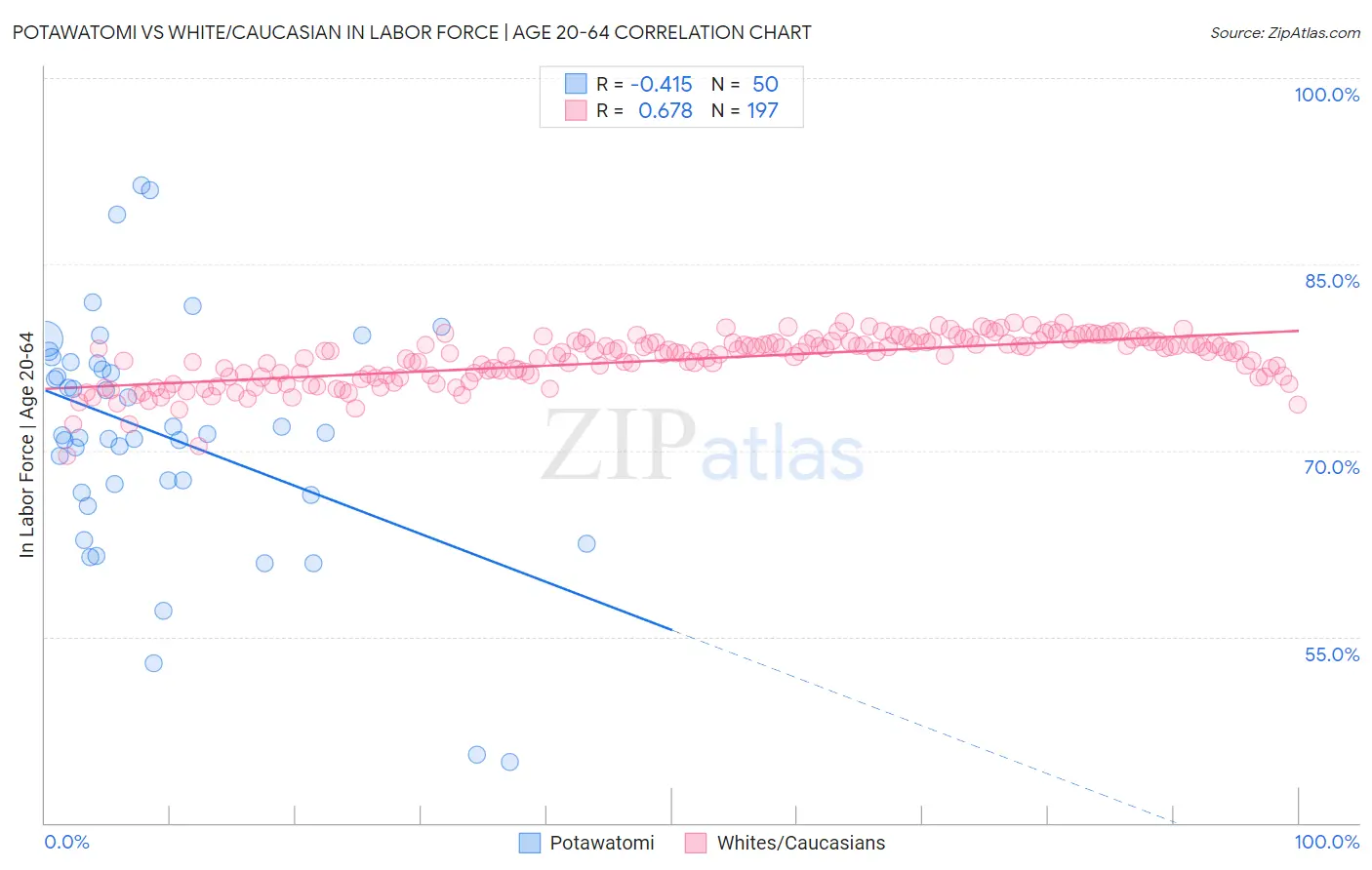 Potawatomi vs White/Caucasian In Labor Force | Age 20-64