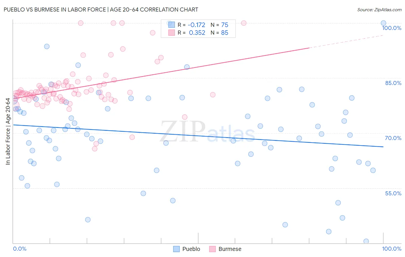 Pueblo vs Burmese In Labor Force | Age 20-64