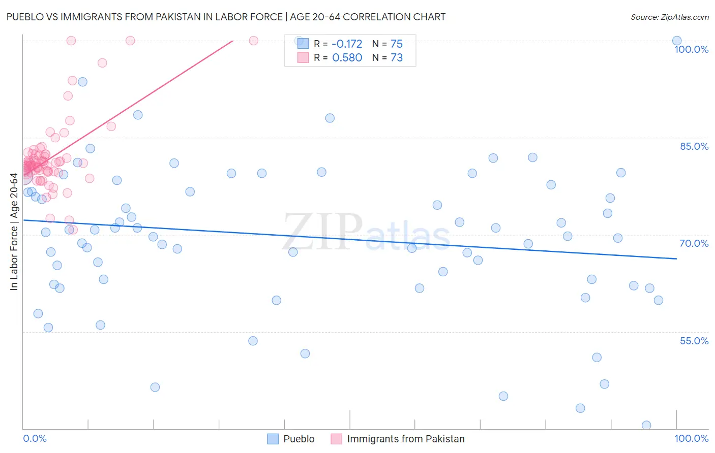Pueblo vs Immigrants from Pakistan In Labor Force | Age 20-64