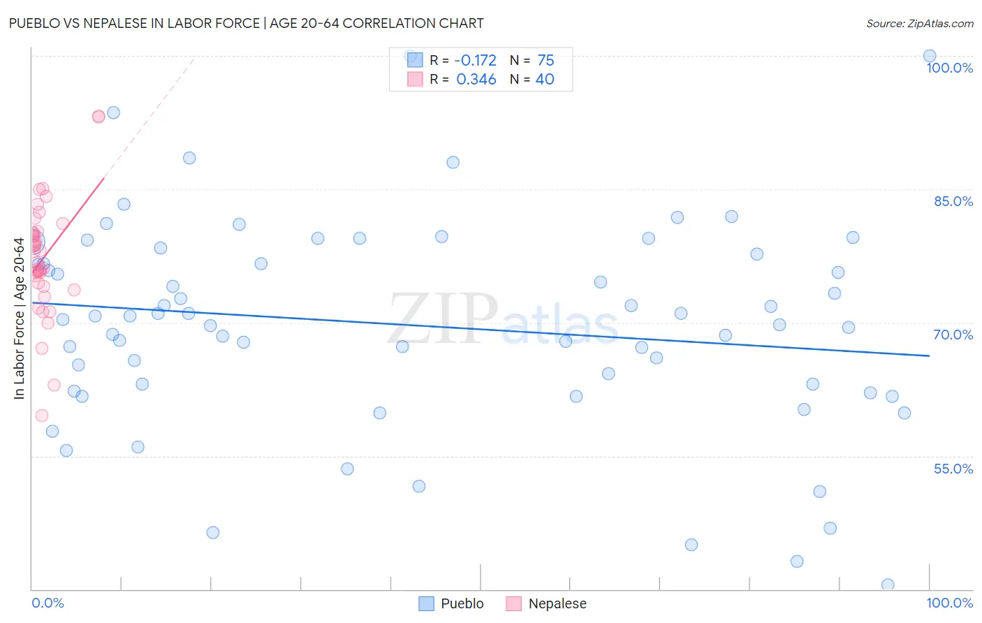 Pueblo vs Nepalese In Labor Force | Age 20-64