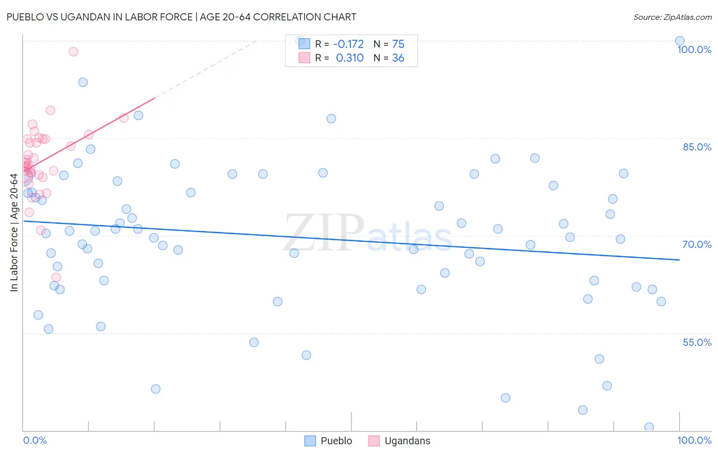 Pueblo vs Ugandan In Labor Force | Age 20-64
