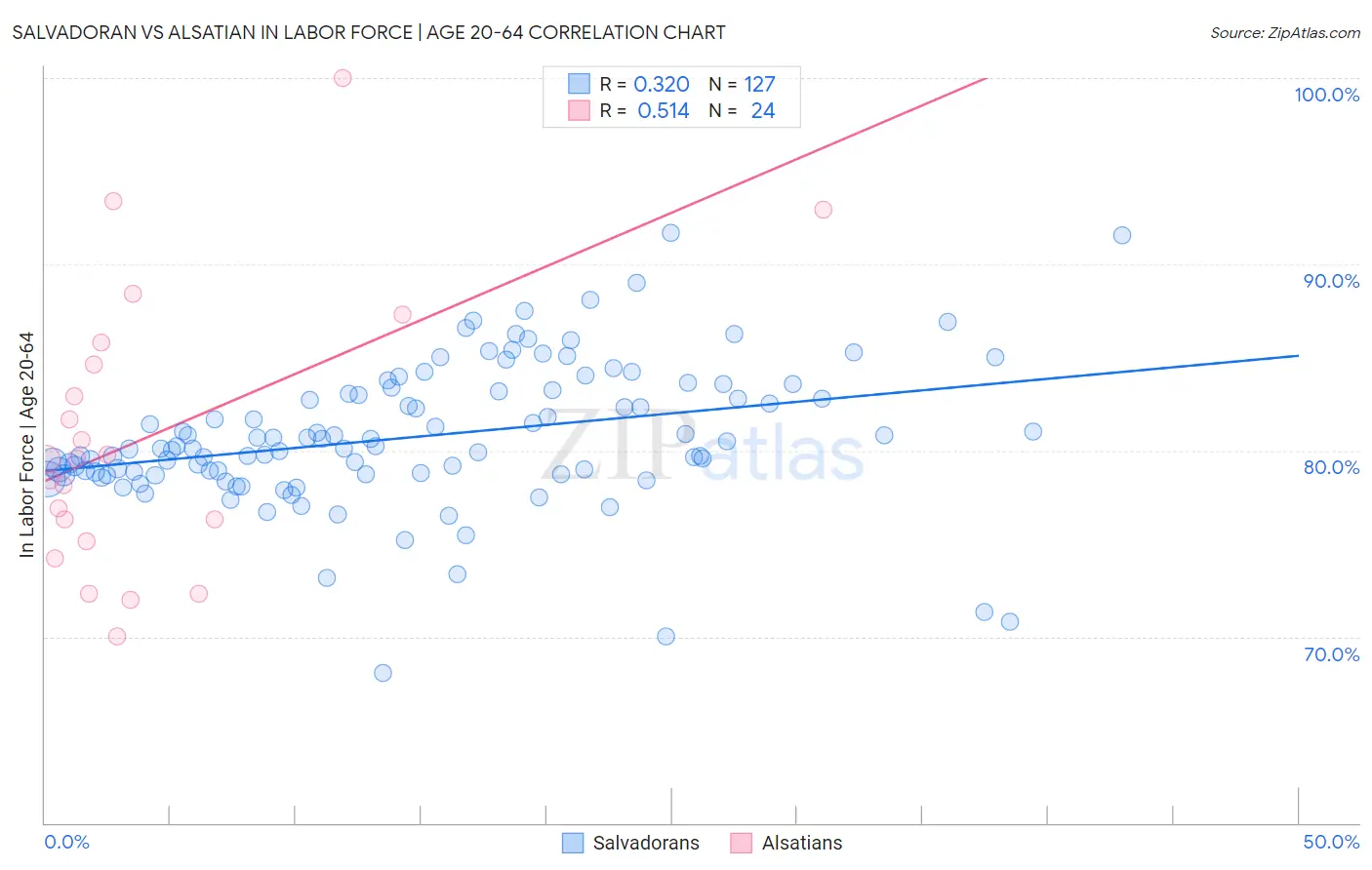 Salvadoran vs Alsatian In Labor Force | Age 20-64