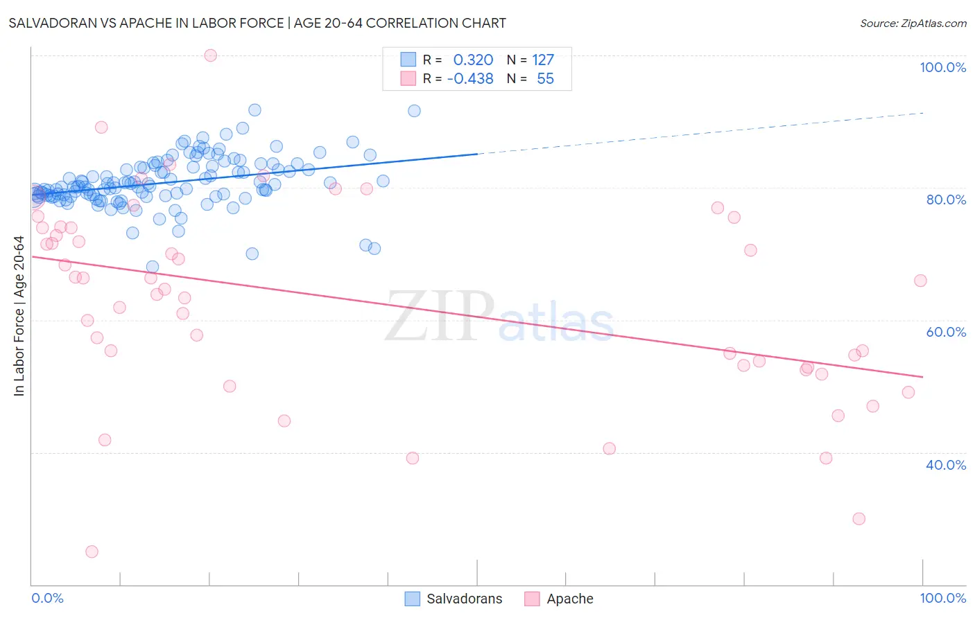 Salvadoran vs Apache In Labor Force | Age 20-64