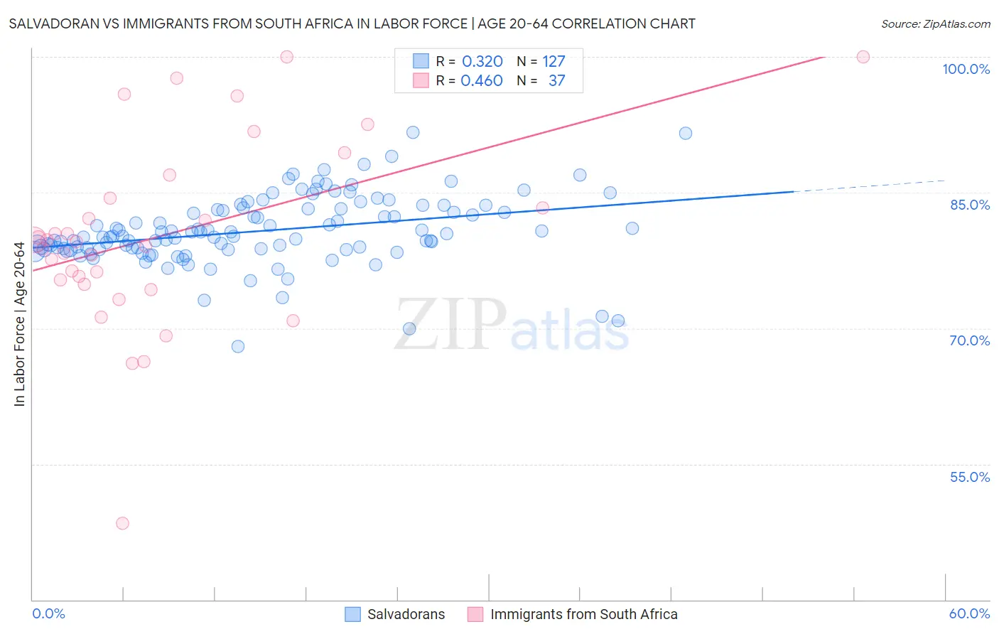 Salvadoran vs Immigrants from South Africa In Labor Force | Age 20-64