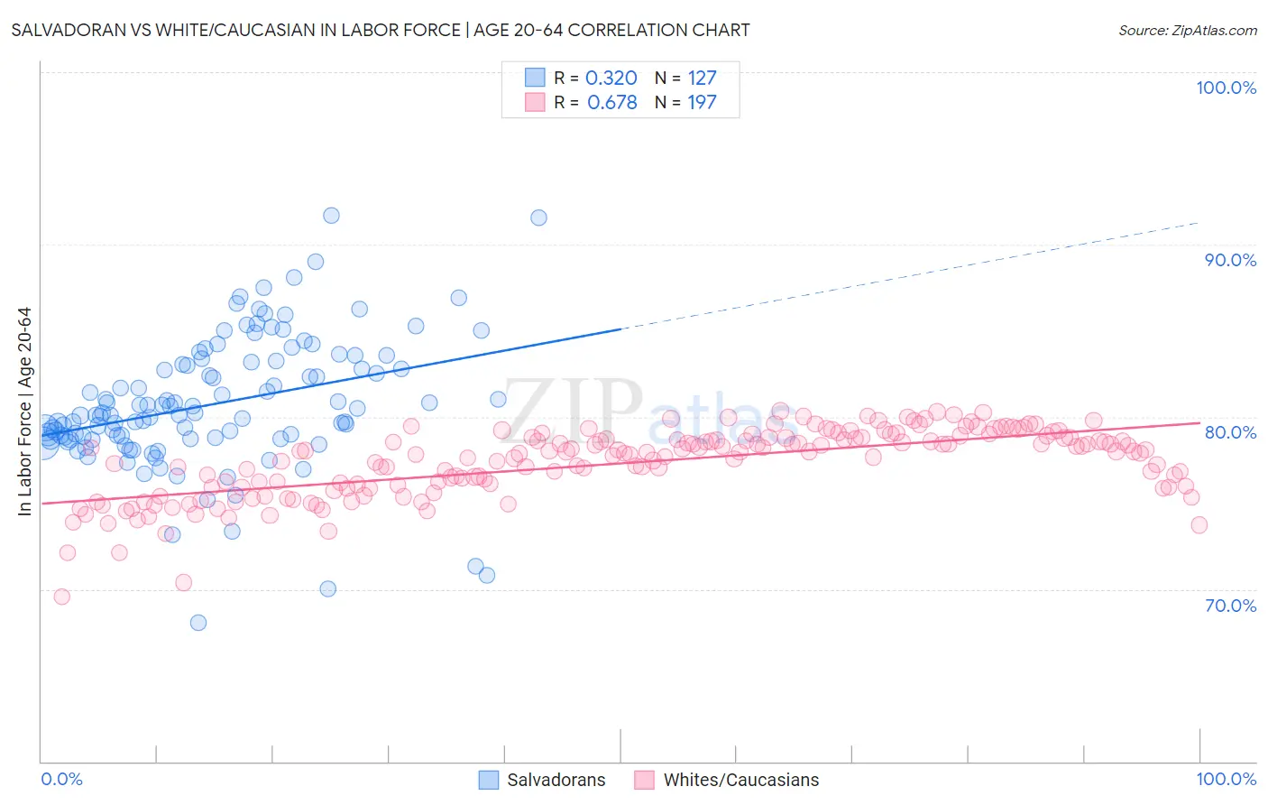 Salvadoran vs White/Caucasian In Labor Force | Age 20-64