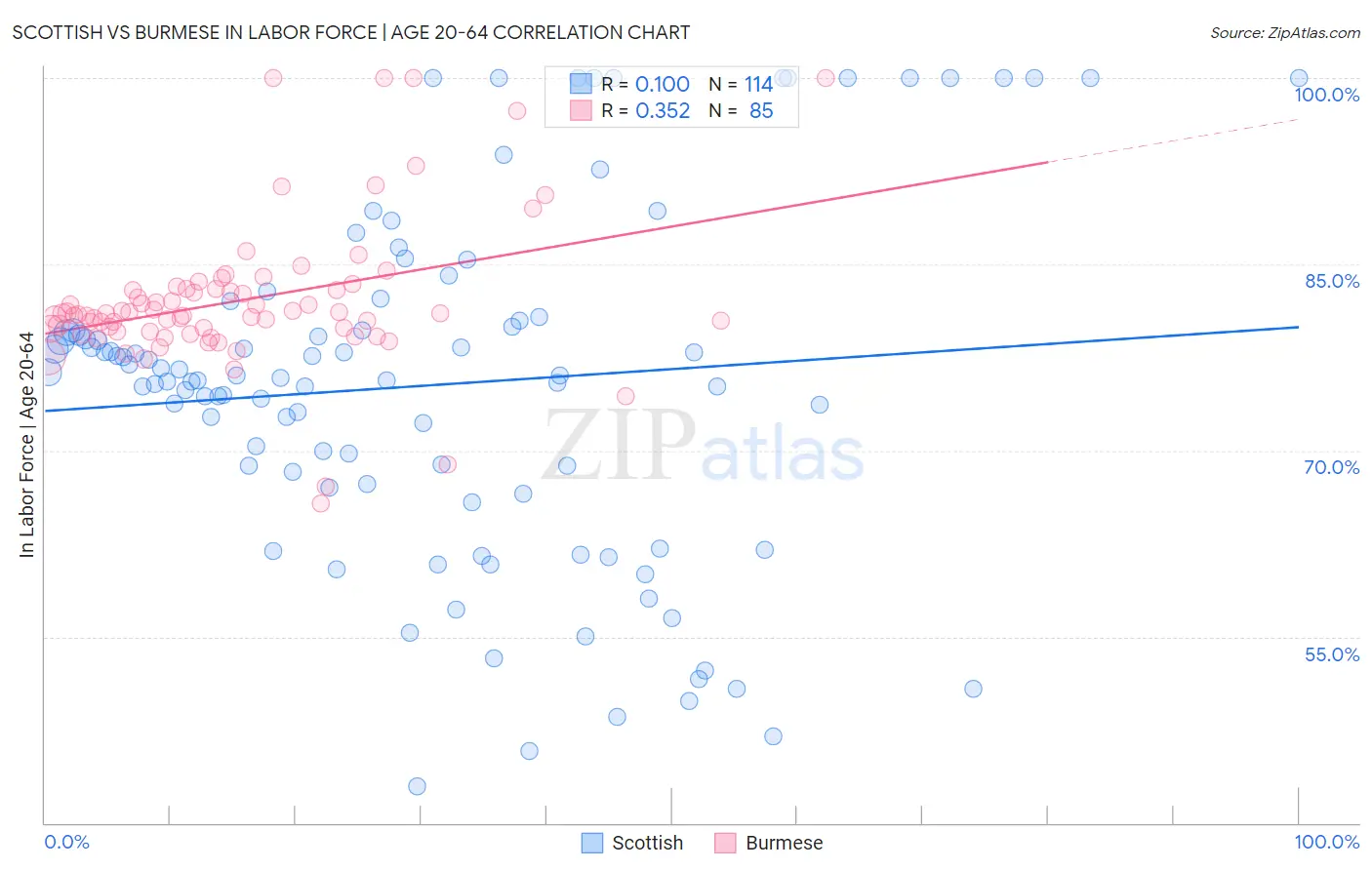 Scottish vs Burmese In Labor Force | Age 20-64