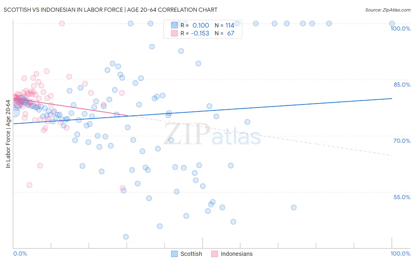 Scottish vs Indonesian In Labor Force | Age 20-64