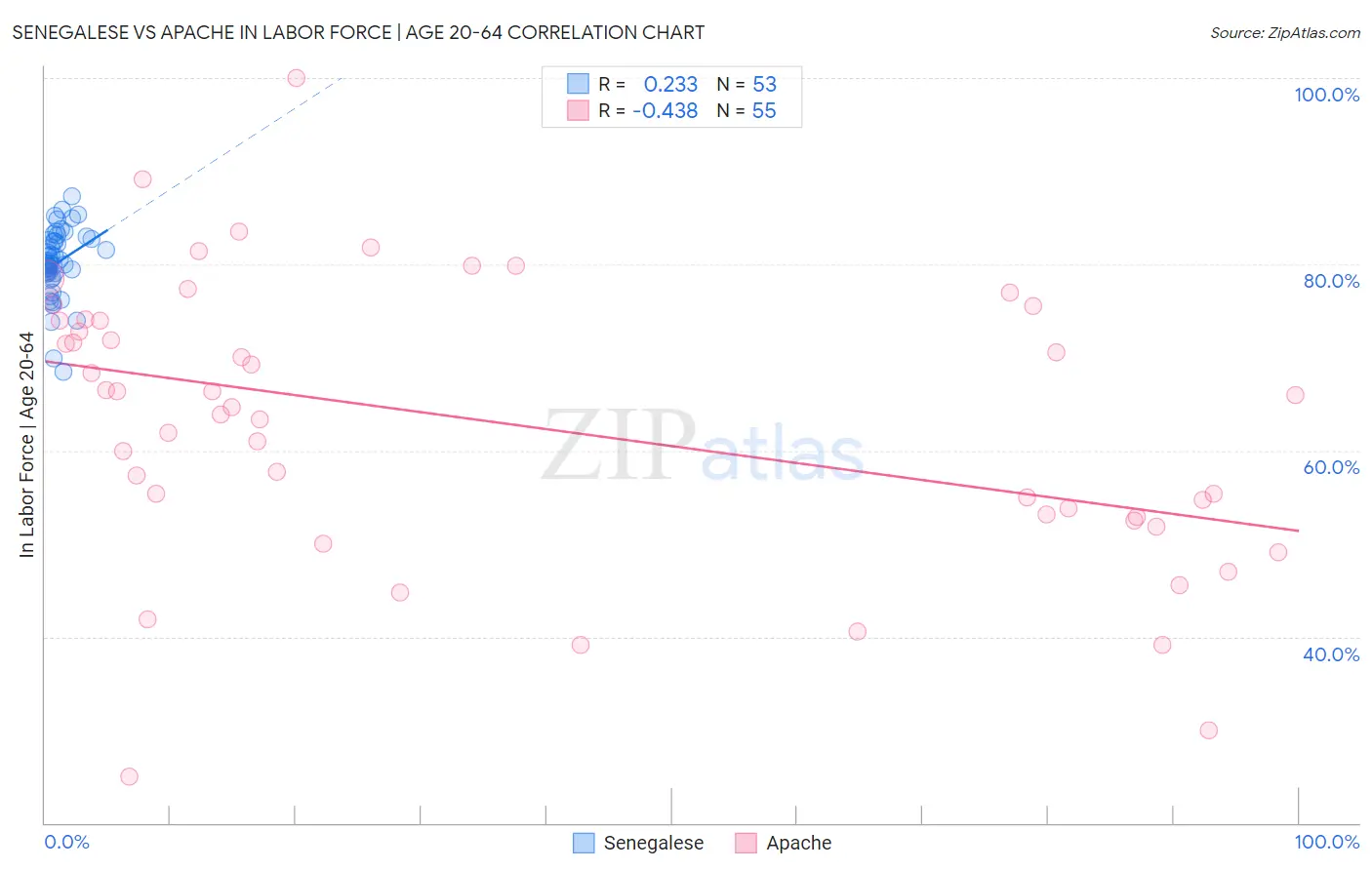 Senegalese vs Apache In Labor Force | Age 20-64
