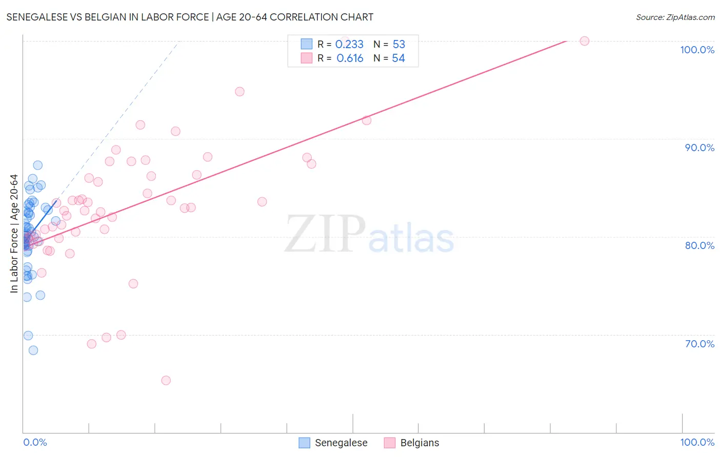 Senegalese vs Belgian In Labor Force | Age 20-64