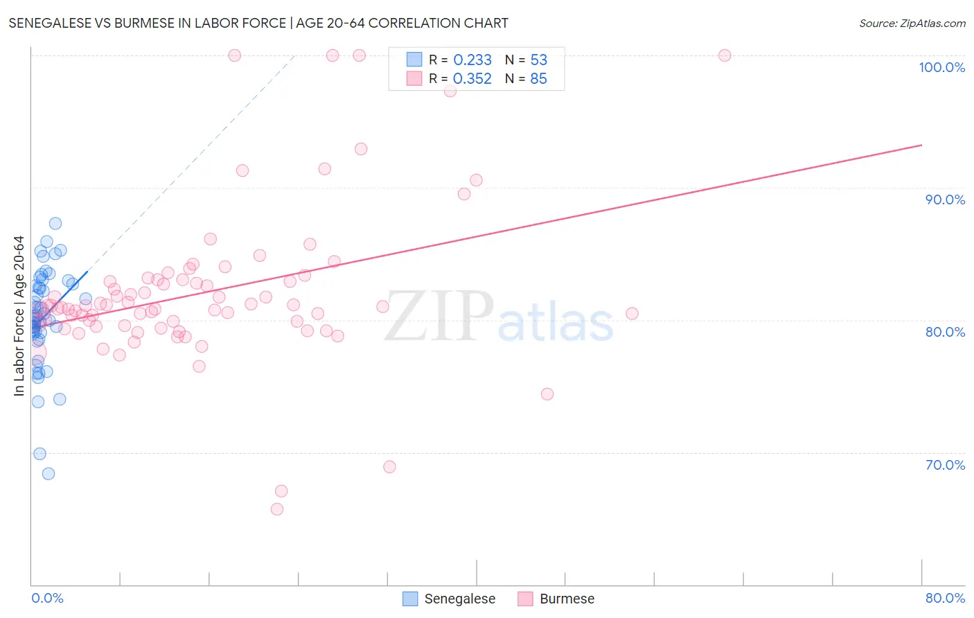 Senegalese vs Burmese In Labor Force | Age 20-64