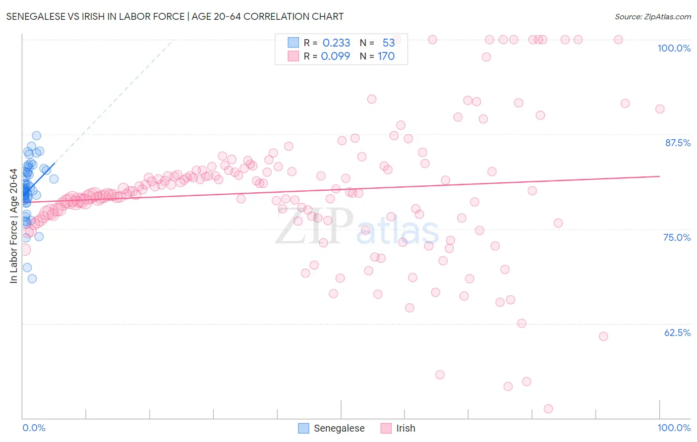 Senegalese vs Irish In Labor Force | Age 20-64