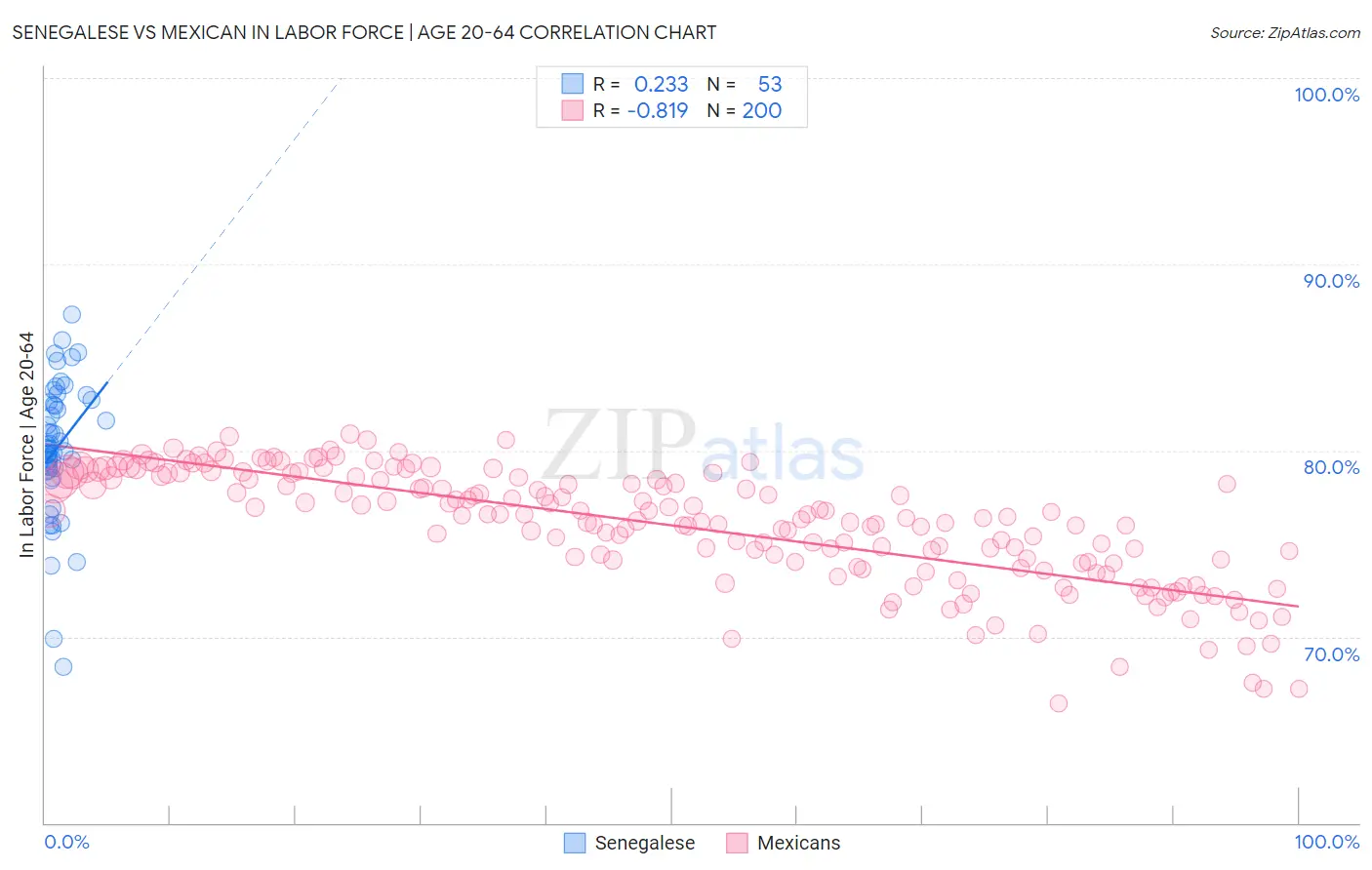 Senegalese vs Mexican In Labor Force | Age 20-64