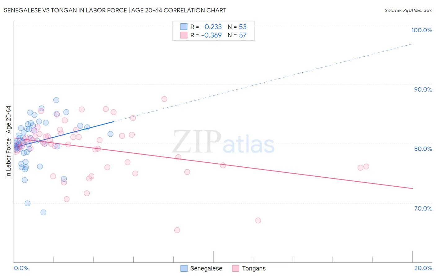 Senegalese vs Tongan In Labor Force | Age 20-64