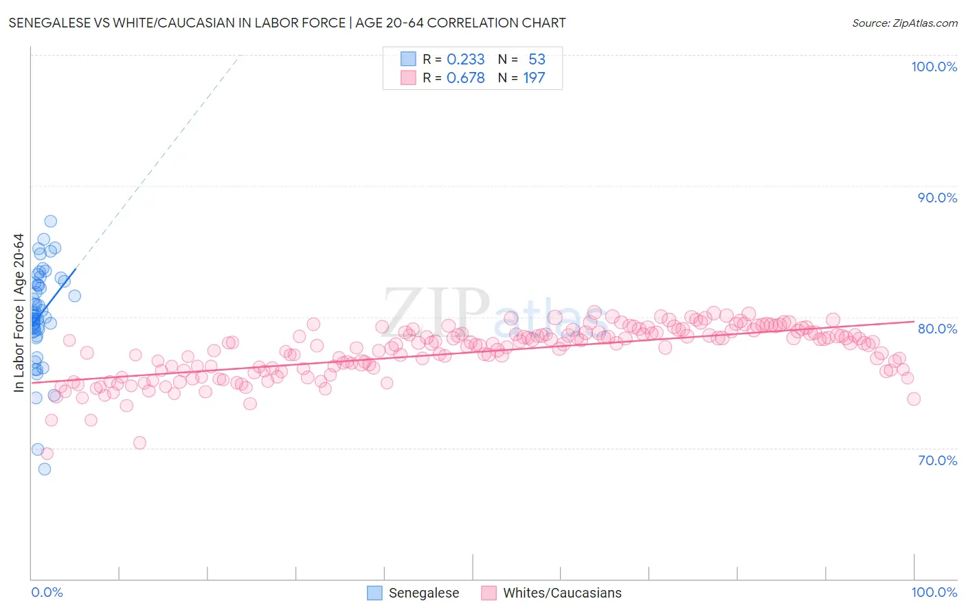 Senegalese vs White/Caucasian In Labor Force | Age 20-64
