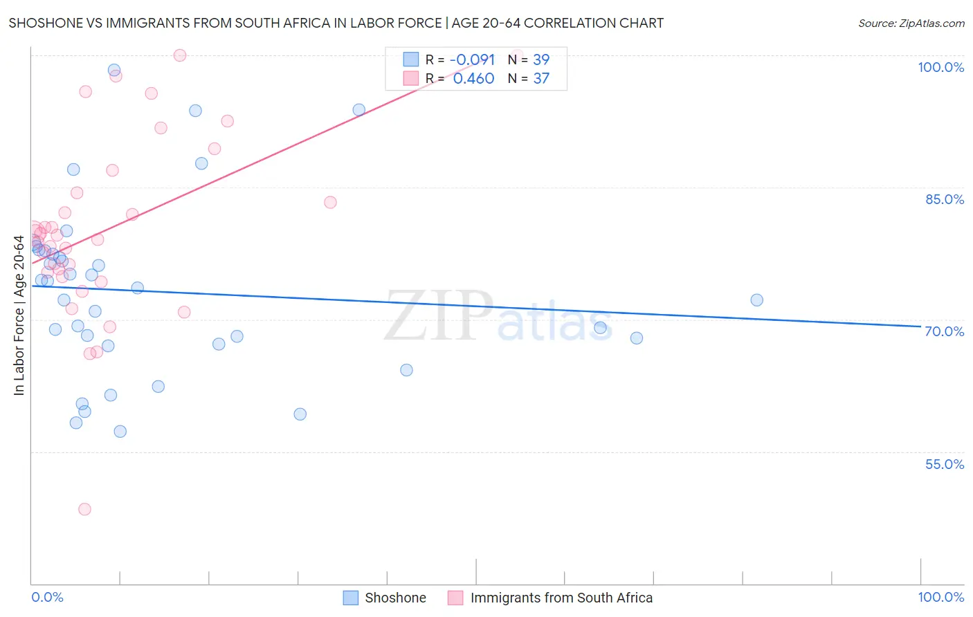 Shoshone vs Immigrants from South Africa In Labor Force | Age 20-64