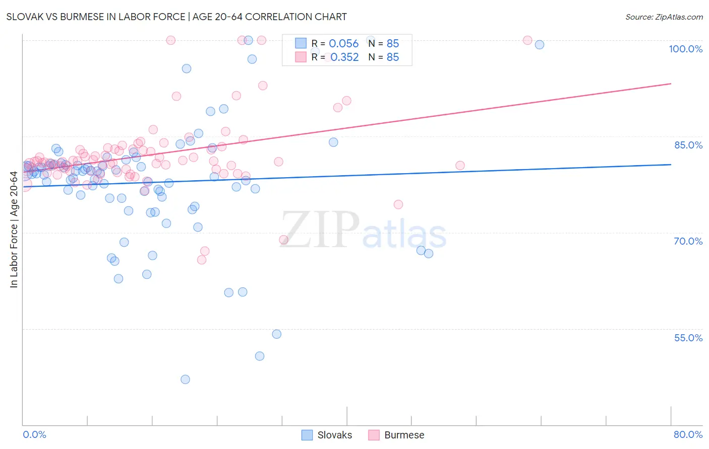 Slovak vs Burmese In Labor Force | Age 20-64