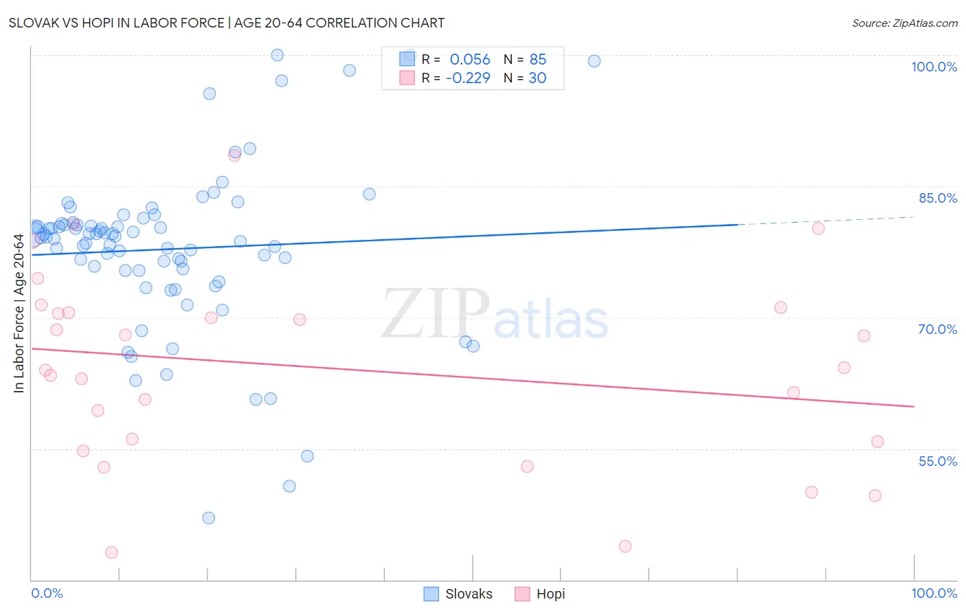 Slovak vs Hopi In Labor Force | Age 20-64