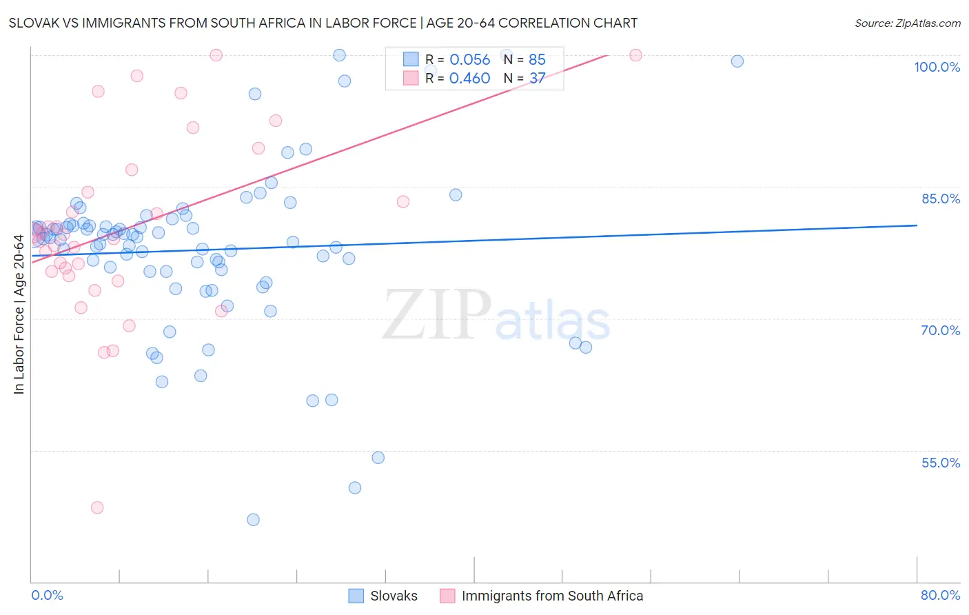 Slovak vs Immigrants from South Africa In Labor Force | Age 20-64