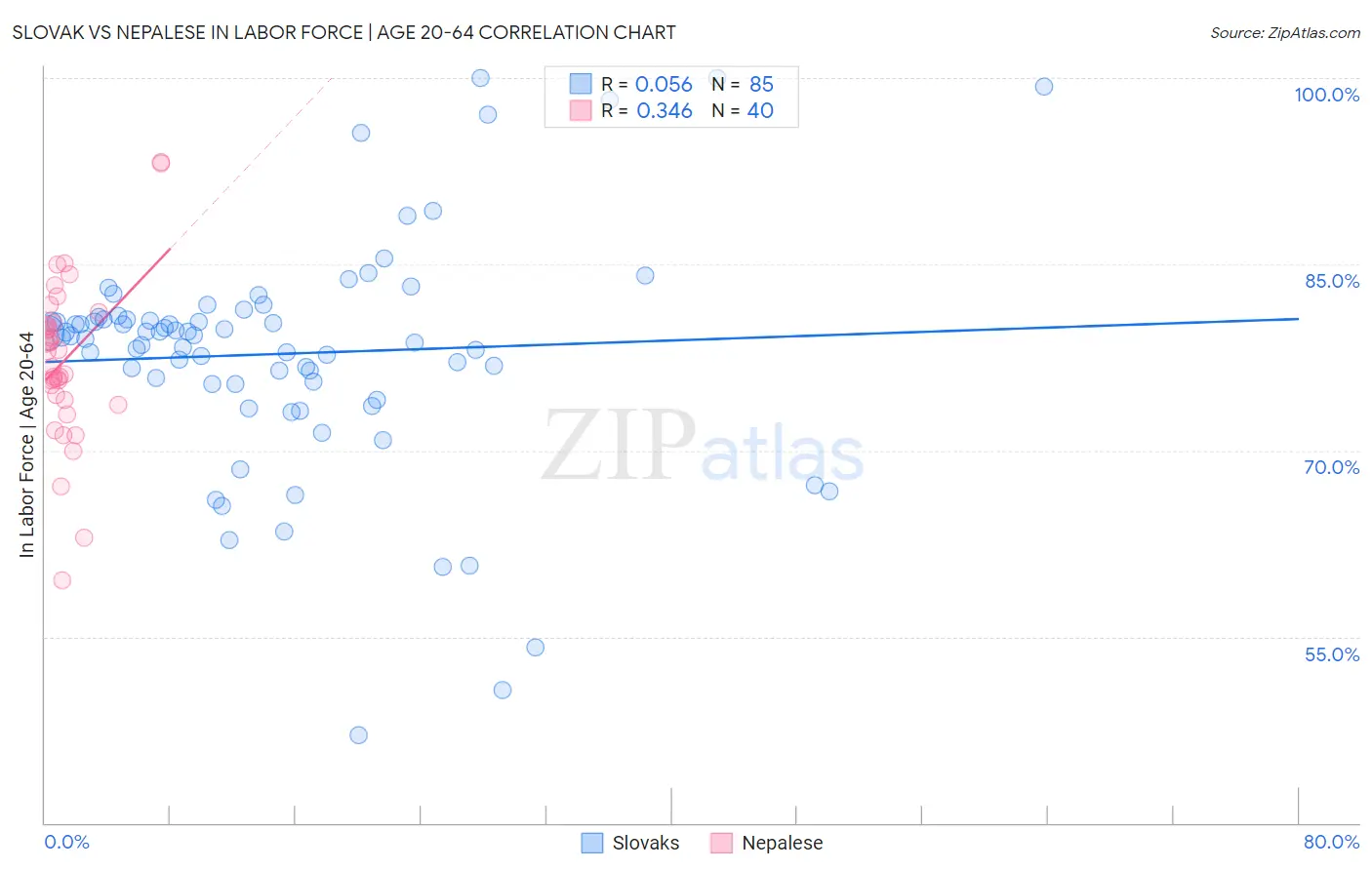 Slovak vs Nepalese In Labor Force | Age 20-64