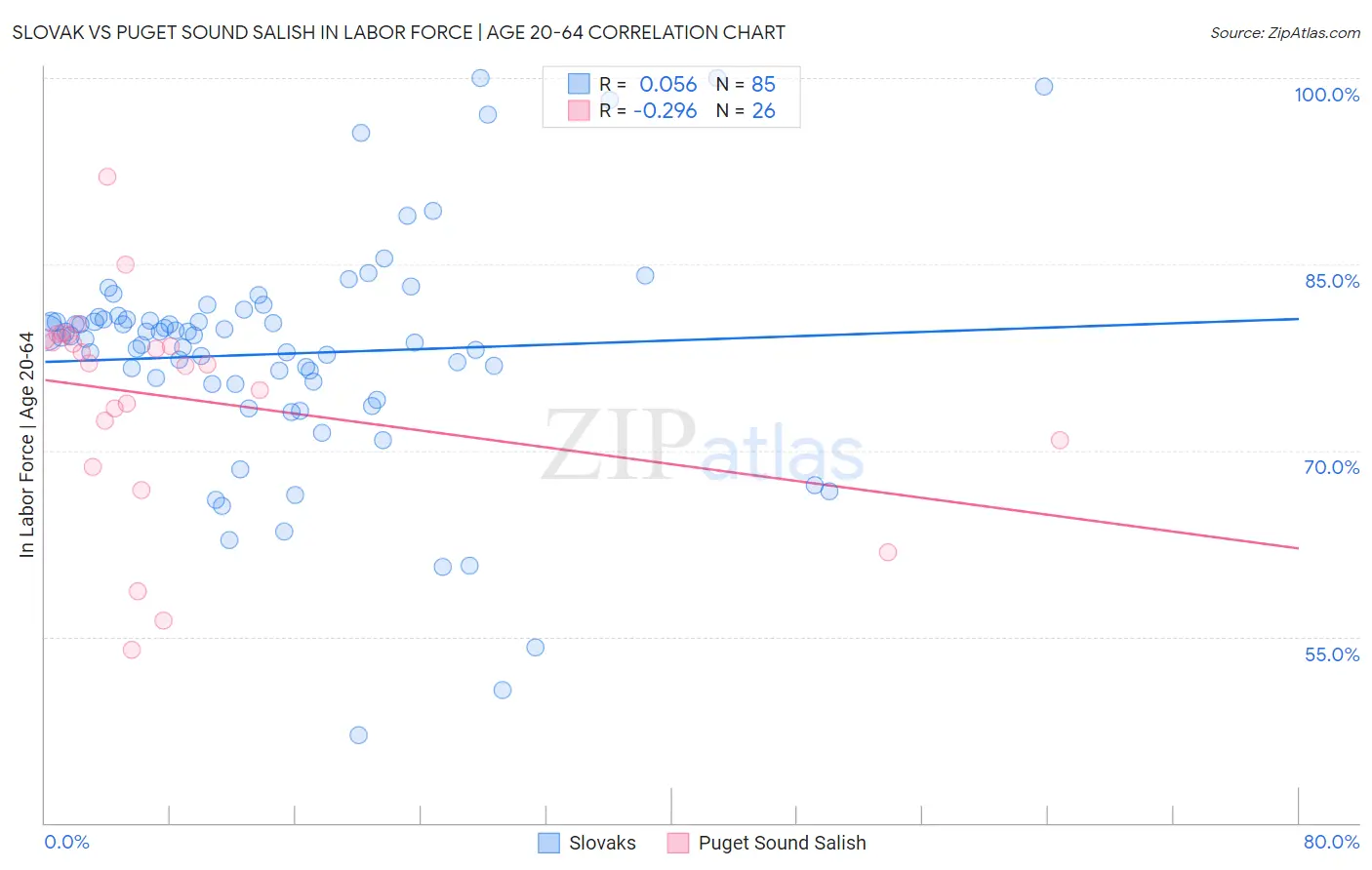 Slovak vs Puget Sound Salish In Labor Force | Age 20-64