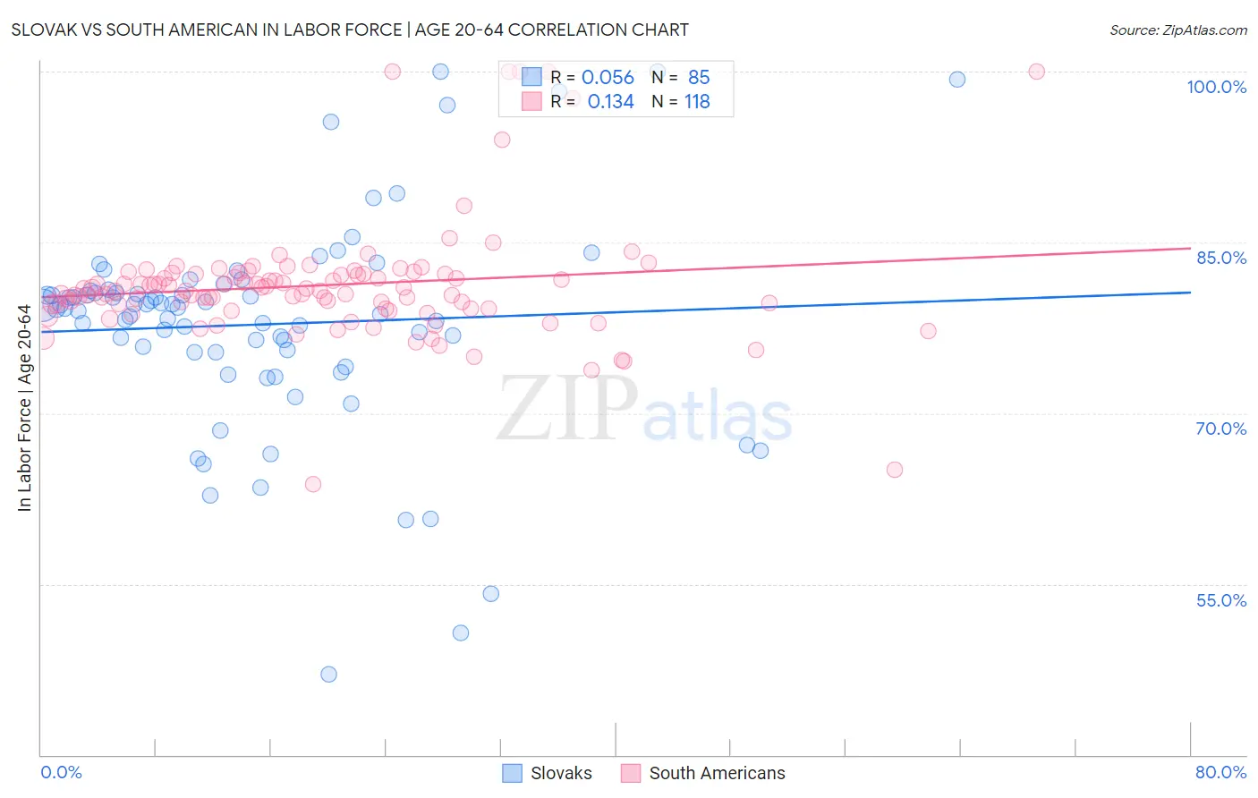 Slovak vs South American In Labor Force | Age 20-64