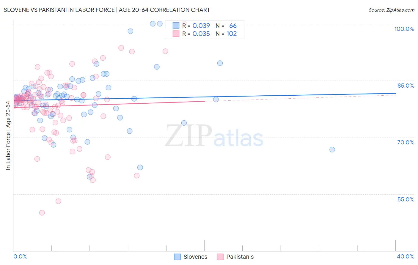 Slovene vs Pakistani In Labor Force | Age 20-64