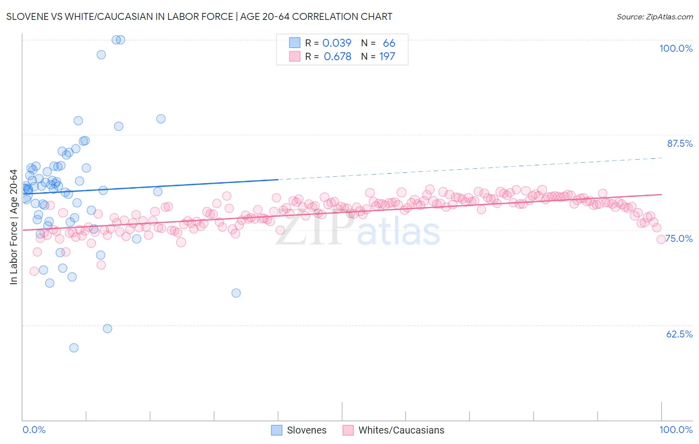 Slovene vs White/Caucasian In Labor Force | Age 20-64