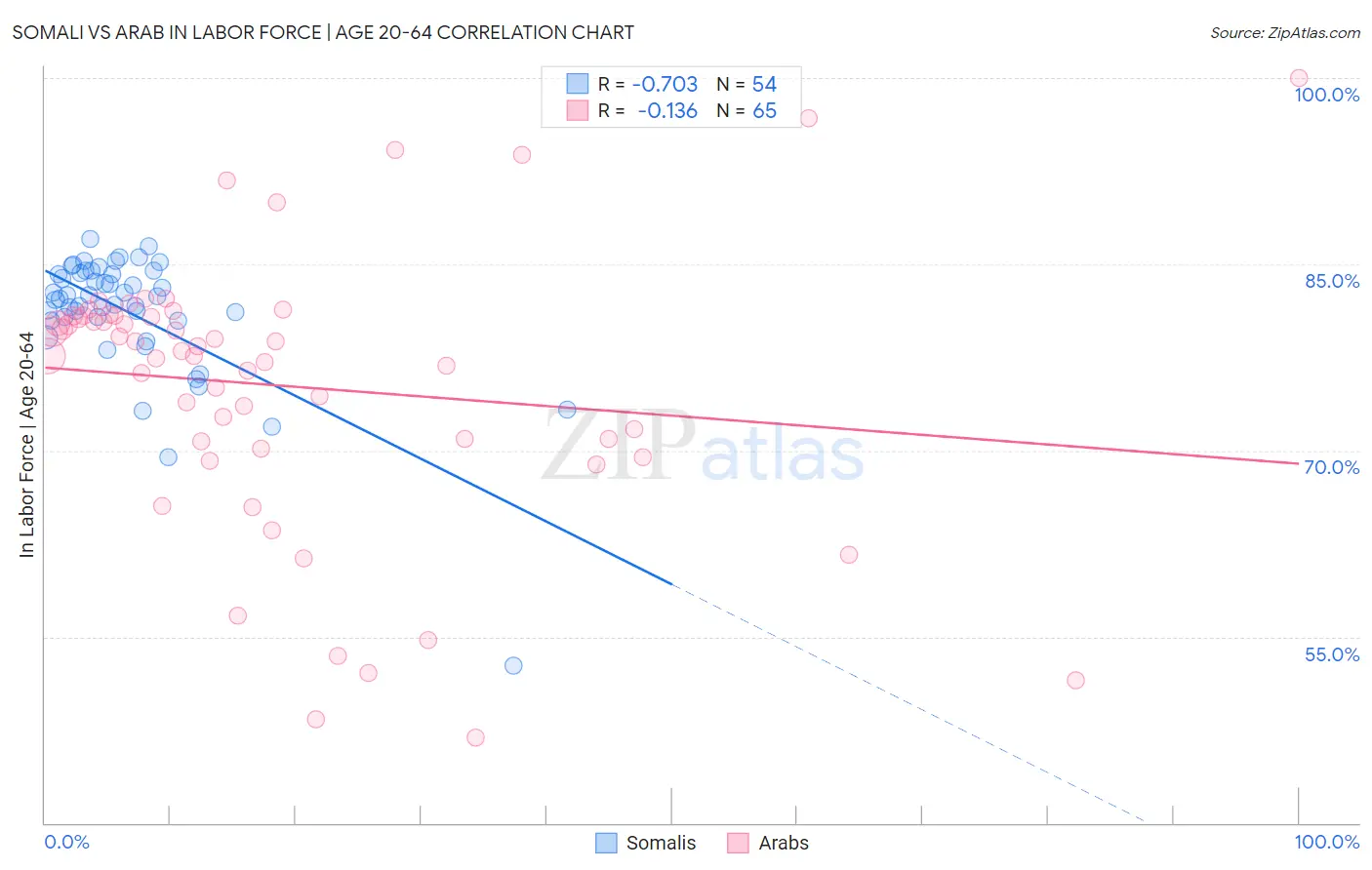 Somali vs Arab In Labor Force | Age 20-64