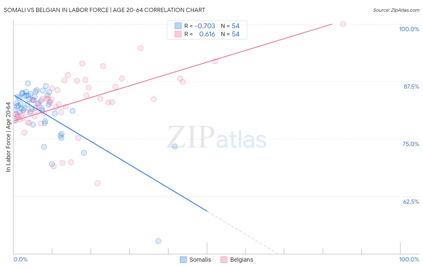 Somali vs Belgian In Labor Force | Age 20-64