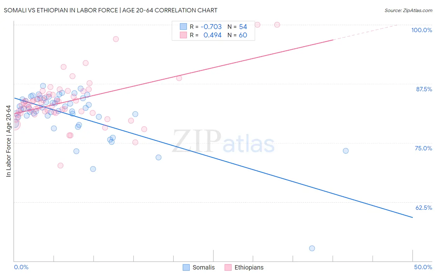 Somali vs Ethiopian In Labor Force | Age 20-64