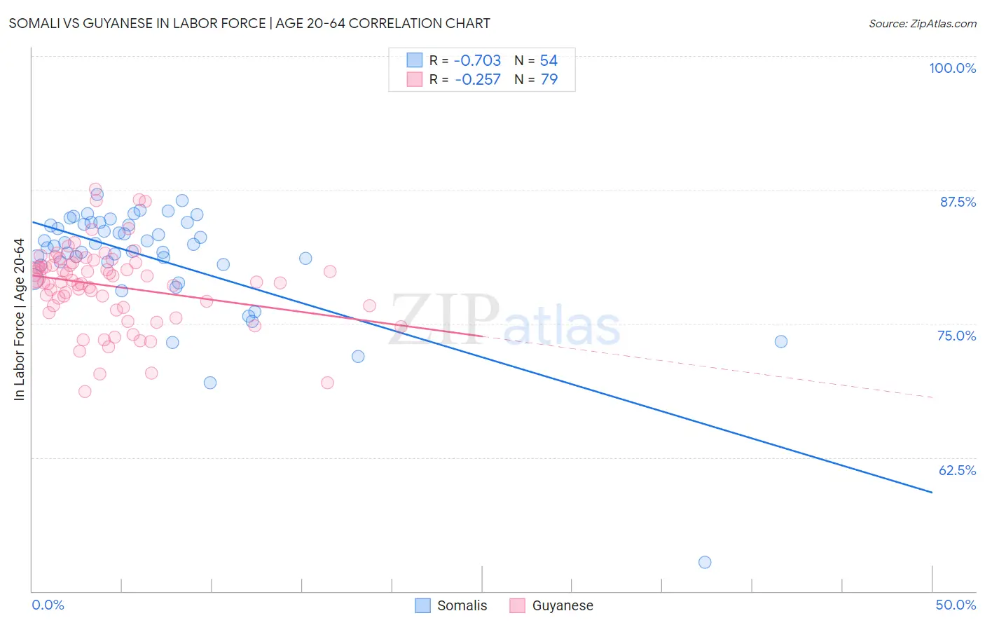 Somali vs Guyanese In Labor Force | Age 20-64