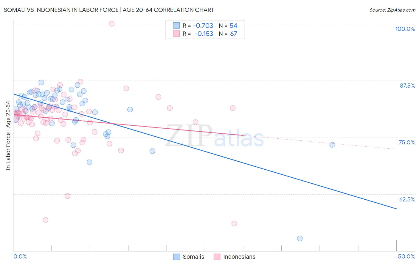 Somali vs Indonesian In Labor Force | Age 20-64