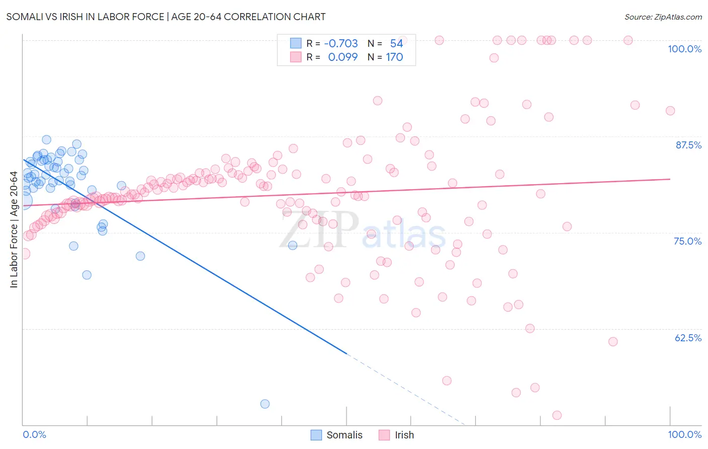 Somali vs Irish In Labor Force | Age 20-64