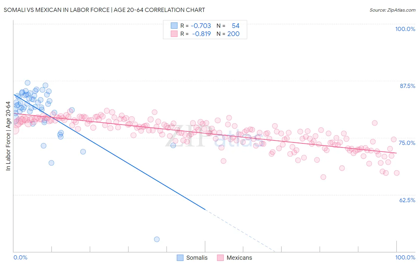 Somali vs Mexican In Labor Force | Age 20-64