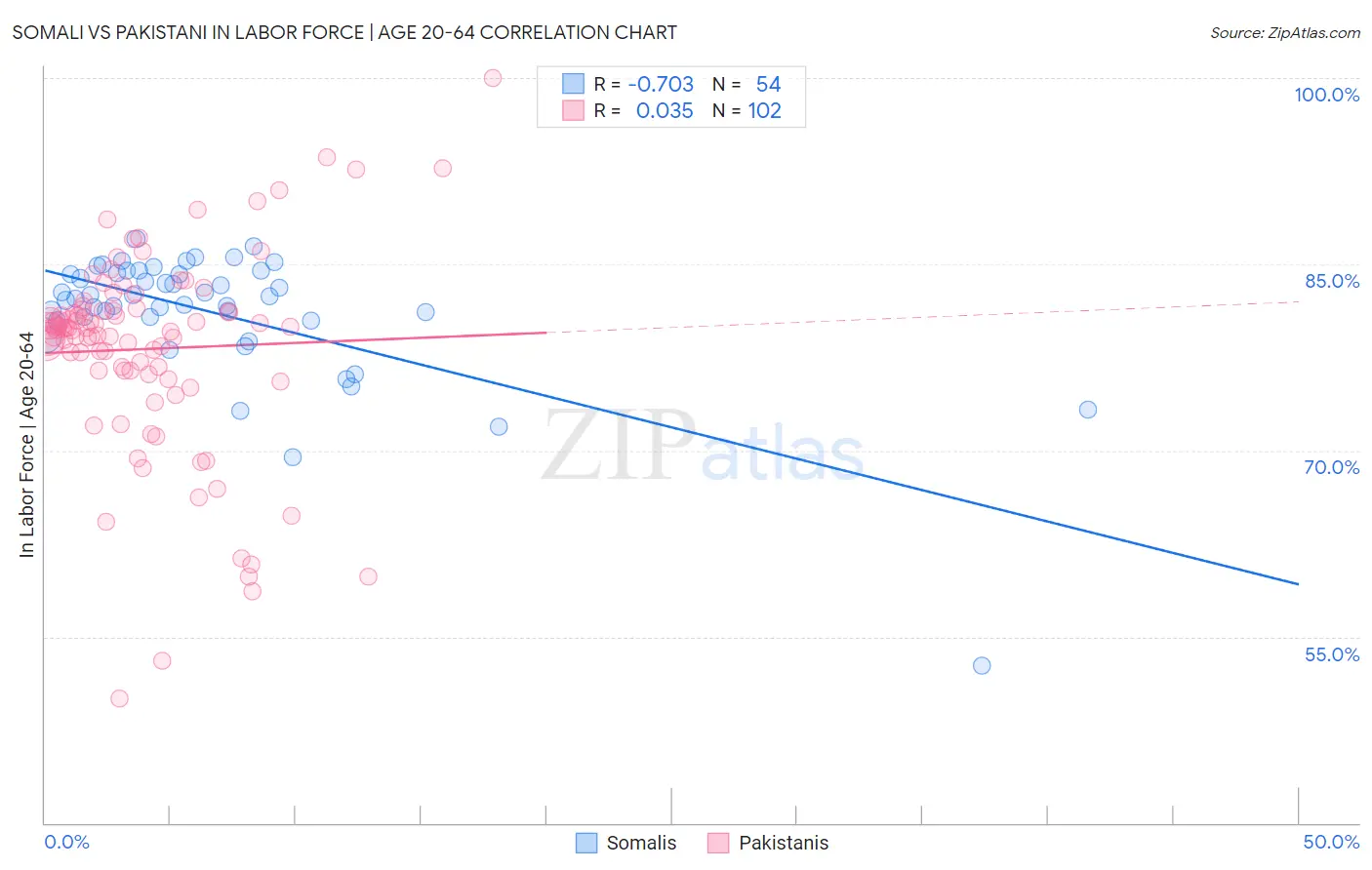 Somali vs Pakistani In Labor Force | Age 20-64