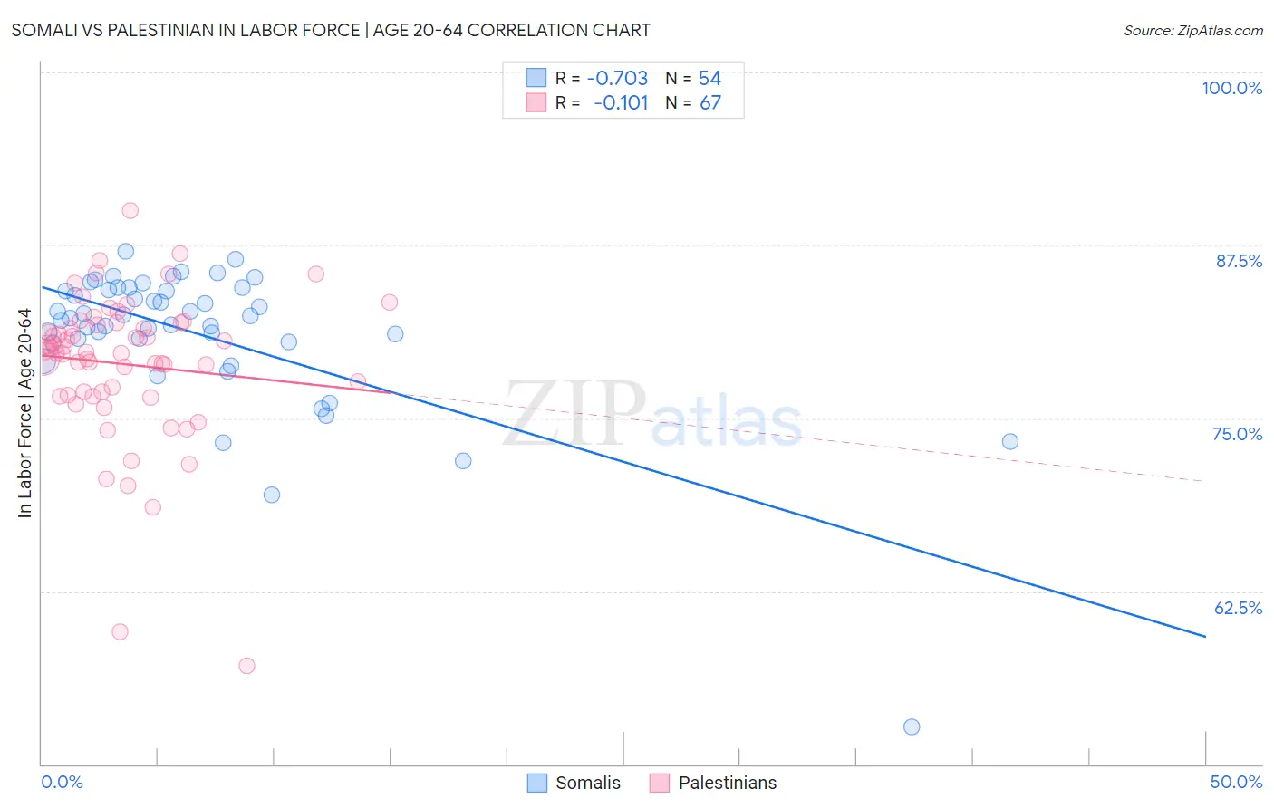 Somali vs Palestinian In Labor Force | Age 20-64