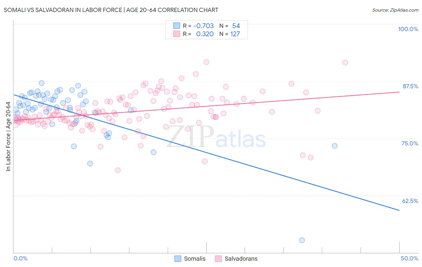 Somali vs Salvadoran In Labor Force | Age 20-64